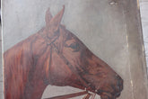 A Good Oil on Canvas Study of a Horse's Head, Dated 1912