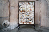 A Fine Victorian Taxidermy Butterfly-Mounted Cheval Fire Screen c.1880; Ex Pitt Rivers Museum