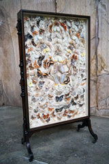 A Fine Victorian Taxidermy Butterfly-Mounted Cheval Fire Screen c.1880; Ex Pitt Rivers Museum