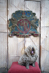 A George VI Polychrome Painted Card Coronation Coat of Arms c.1936