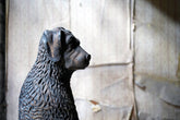 A French Animalier Bronzed Terracotta Sculpture of a Dog c.1900