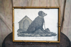 A 19thC Cut-Out Pencil & Ink Study of an Irish Water Dog; 'Sweep'