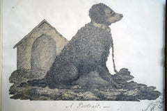 A 19thC Cut-Out Pencil & Ink Study of an Irish Water Dog; 'Sweep'