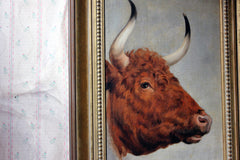 A 19thC English School Study of a Red Devon Bull