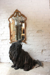 A Decorative Early 20thC Gilt Composition Wall Mirror