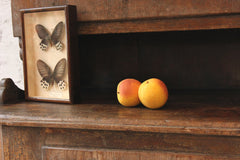 A Fine Pair of Mid 20thC Italian Carved Marble Faux Peaches