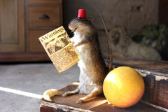 A Comical Mid 20thC Anthropomorphic Taxidermy Rat, Modelled as Tommy Cooper