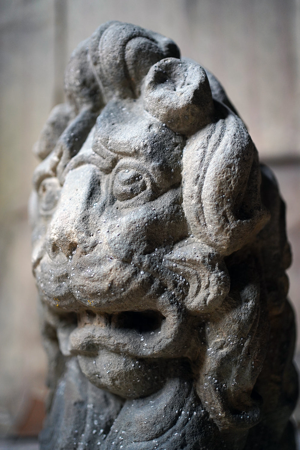 A 17thC Monastic Flemish Limestone Fragmental Head of a Lion c.1600-50