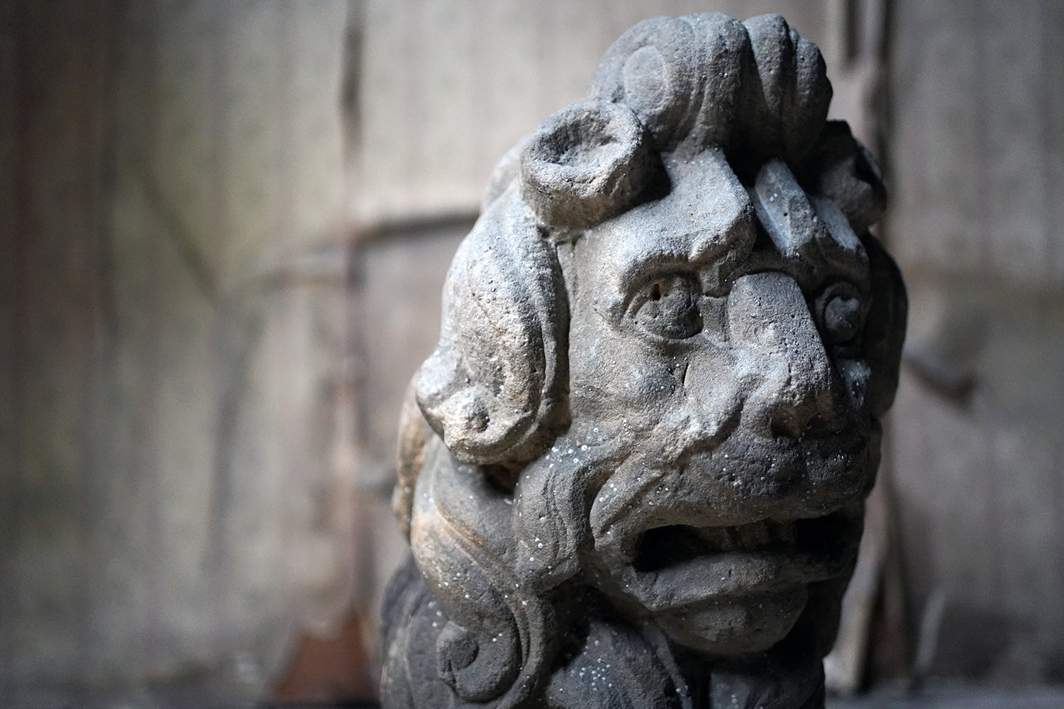 A 17thC Monastic Flemish Limestone Fragmental Head of a Lion c.1600-50