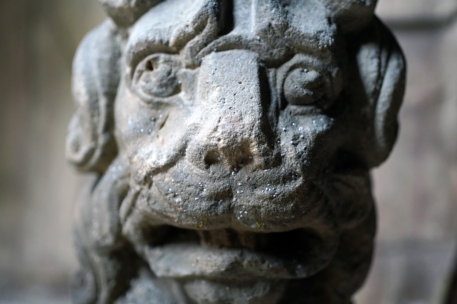 A 17thC Monastic Flemish Limestone Fragmental Head of a Lion c.1600-50