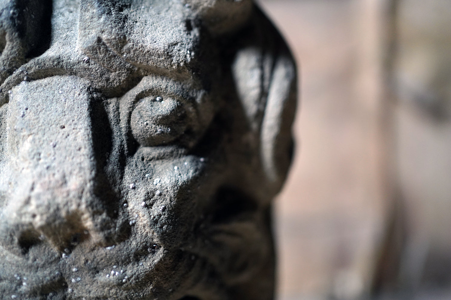 A 17thC Monastic Flemish Limestone Fragmental Head of a Lion c.1600-50