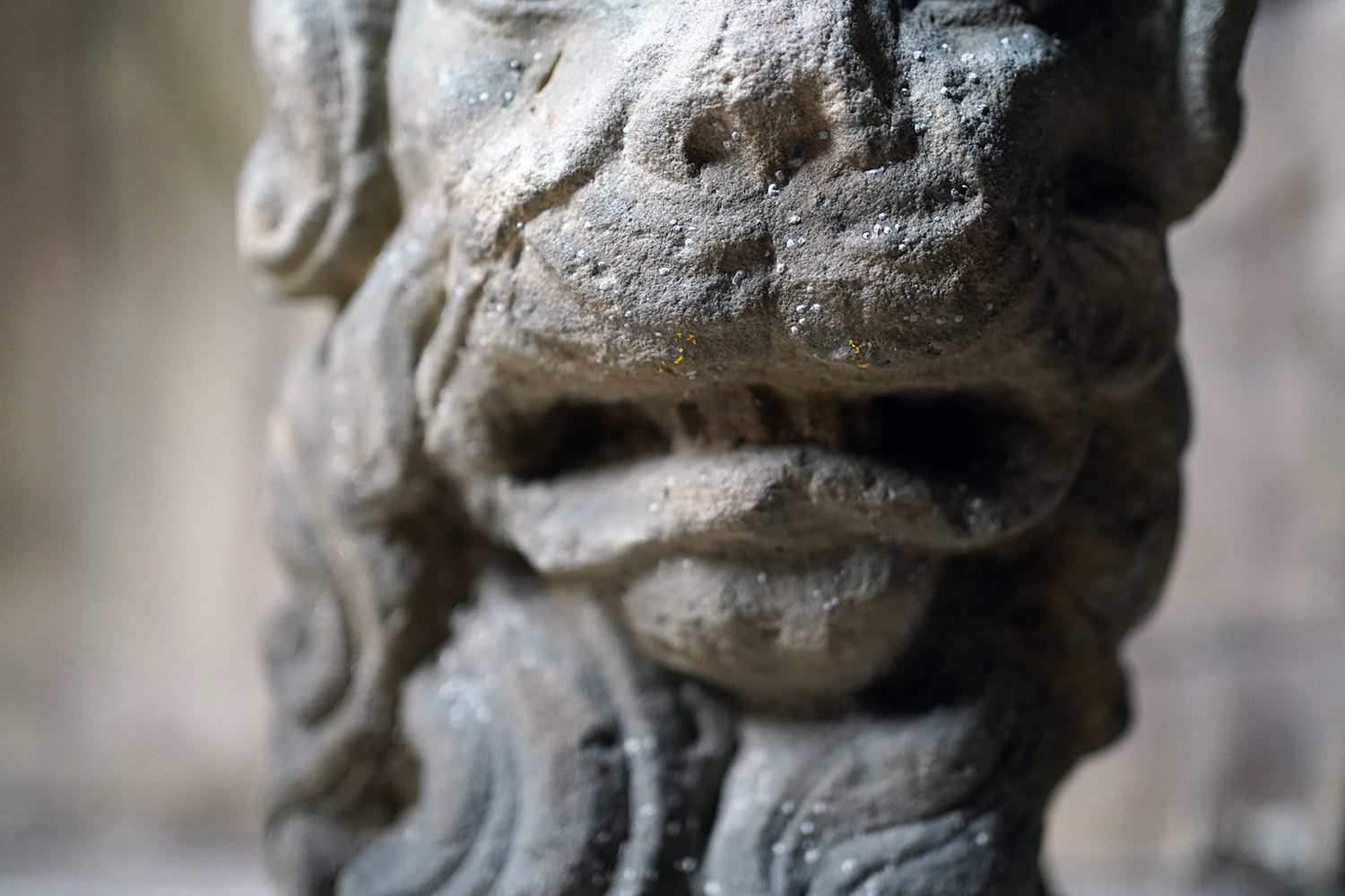 A 17thC Monastic Flemish Limestone Fragmental Head of a Lion c.1600-50