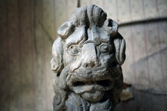 A 17thC Monastic Flemish Limestone Fragmental Head of a Lion c.1600-50