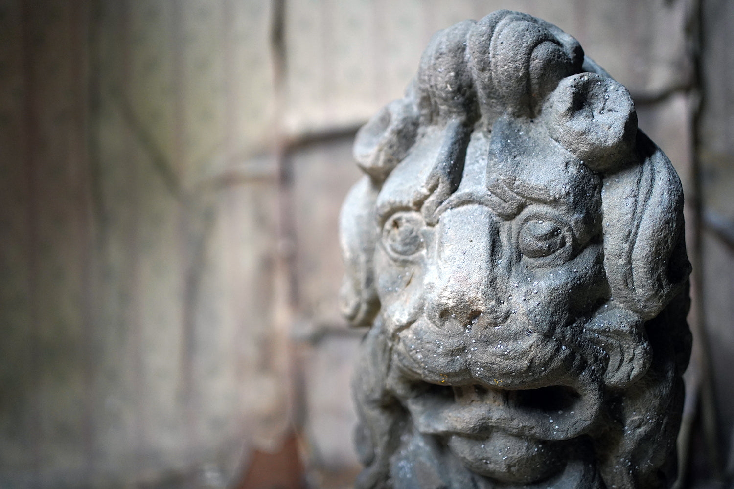 A 17thC Monastic Flemish Limestone Fragmental Head of a Lion c.1600-50