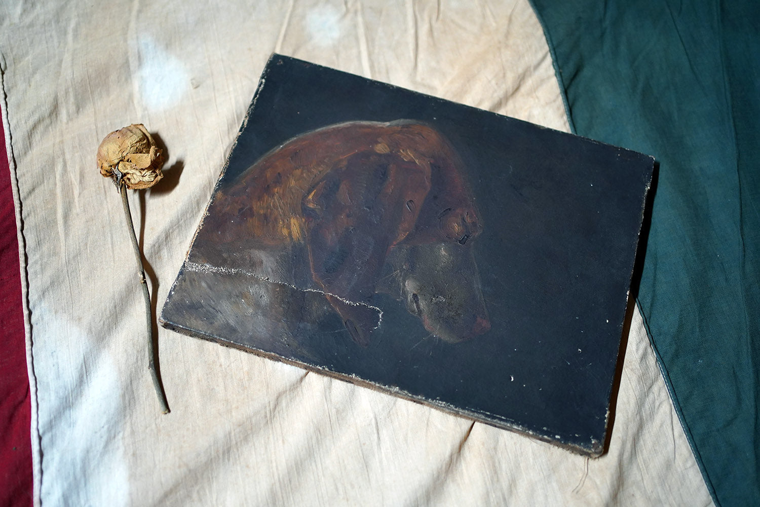 A French Provincial School Oil on Canvas Study of a Hound 1862