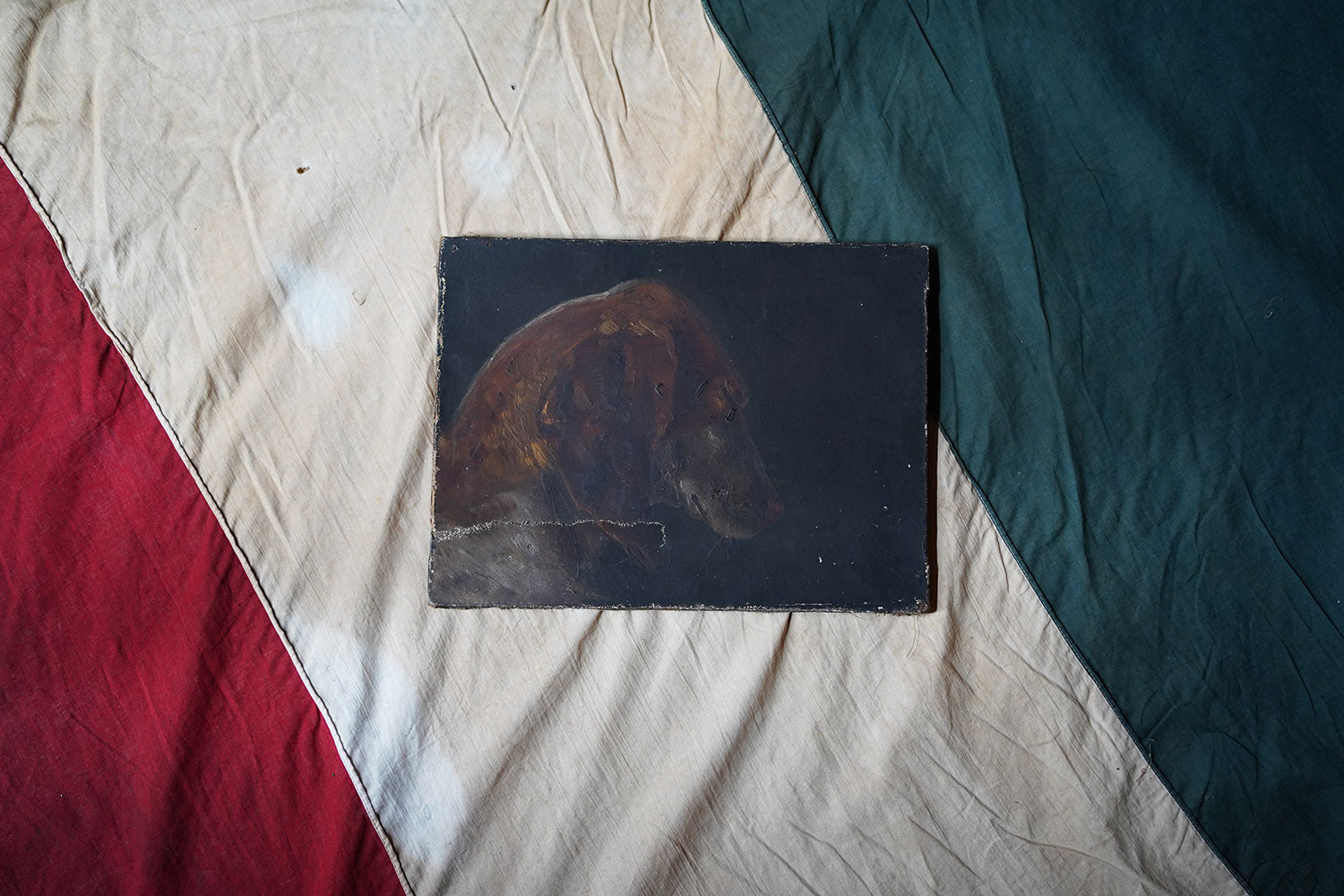 A French Provincial School Oil on Canvas Study of a Hound 1862