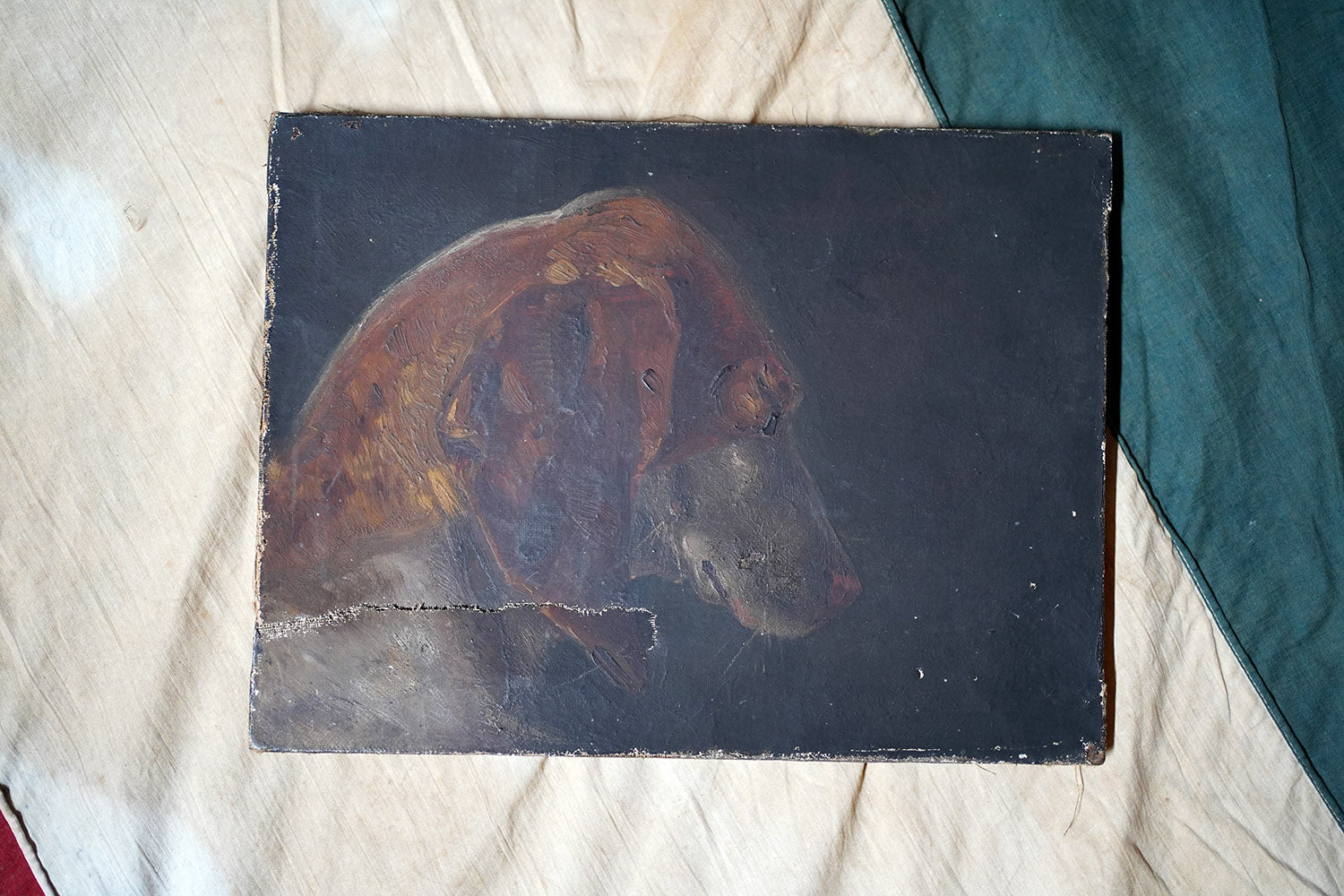 A French Provincial School Oil on Canvas Study of a Hound 1862