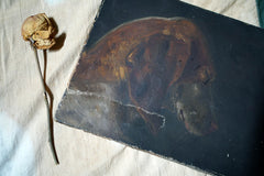 A French Provincial School Oil on Canvas Study of a Hound 1862