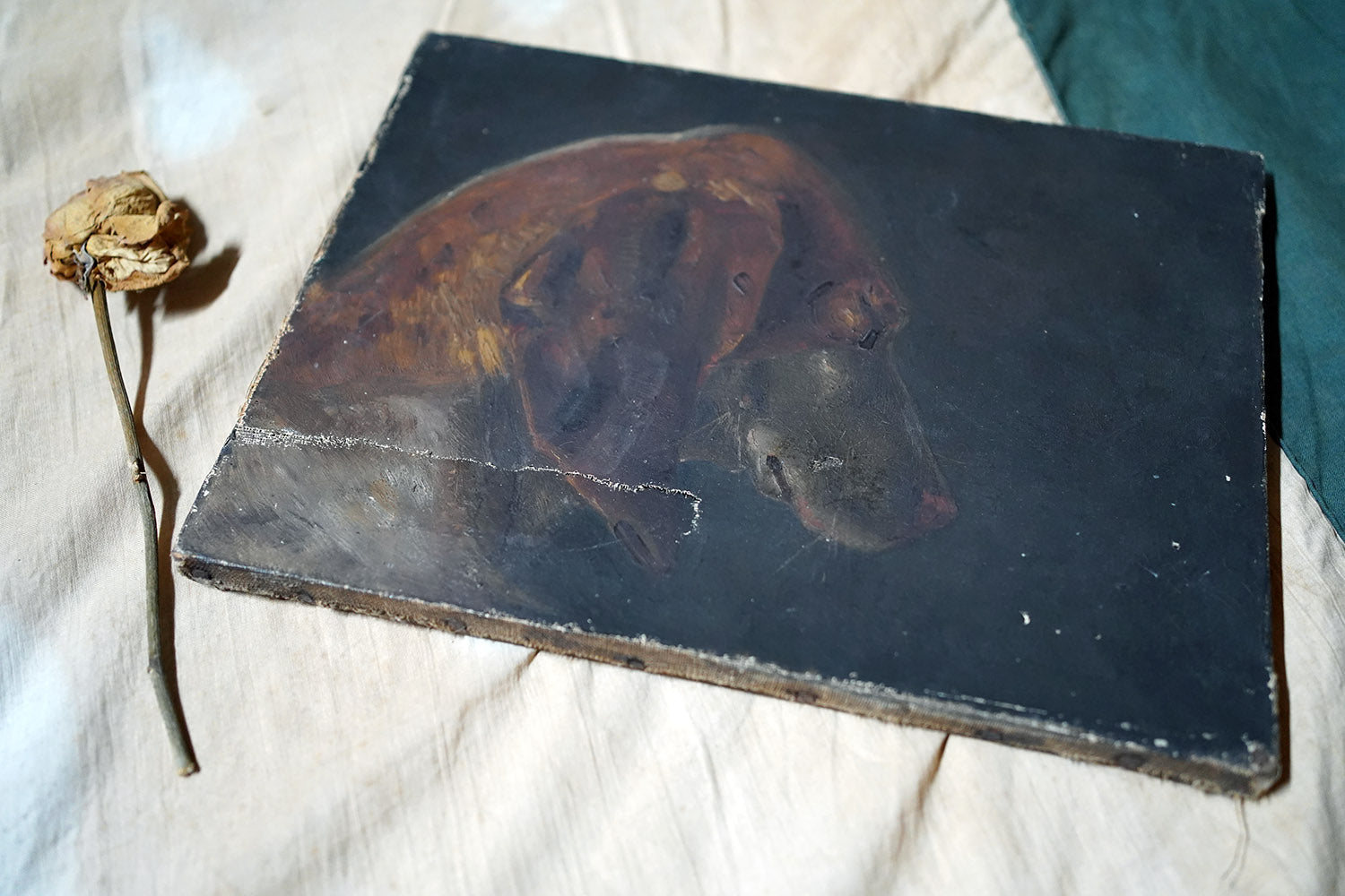 A French Provincial School Oil on Canvas Study of a Hound 1862