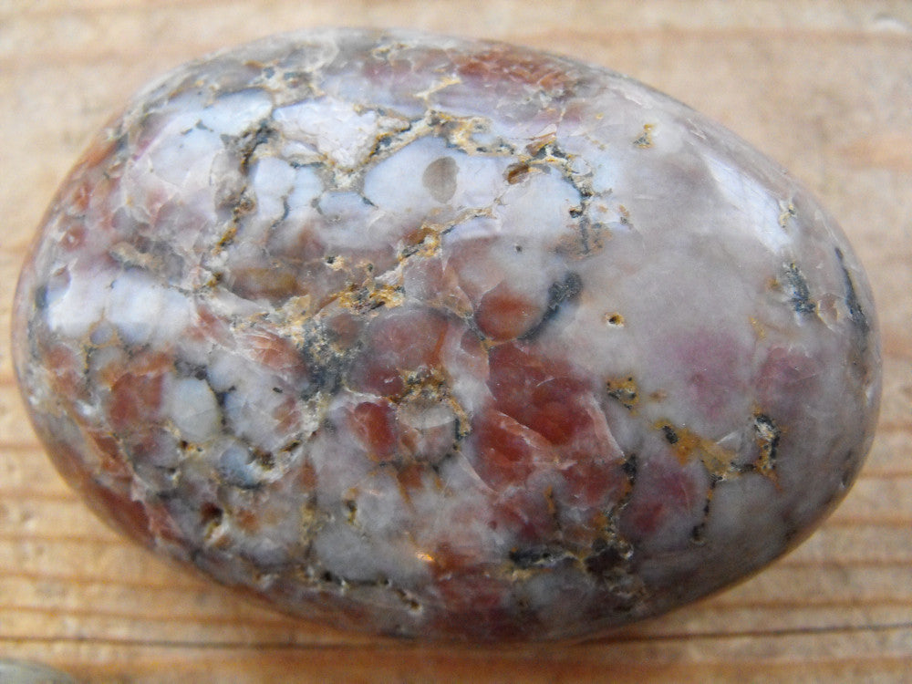 A Fine Group of Three Polished Jurassic Period Globular Geological Dinosaur Coprolites