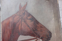 A Good Oil on Canvas Study of a Horse's Head, Dated 1912