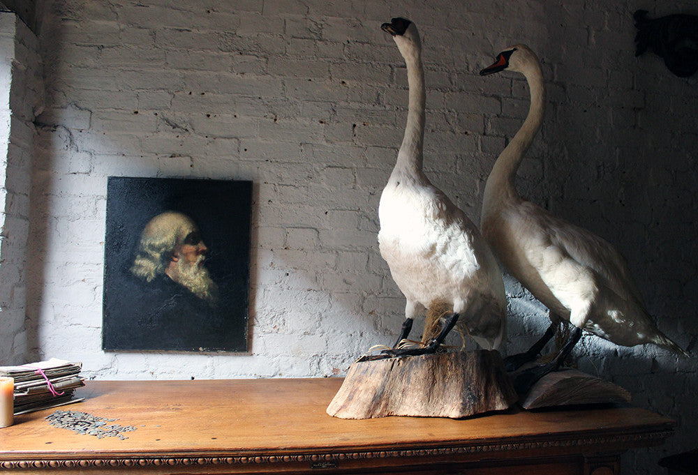 A Good Early 19thC European School Oil on Canvas Portrait of a Bearded Gentleman