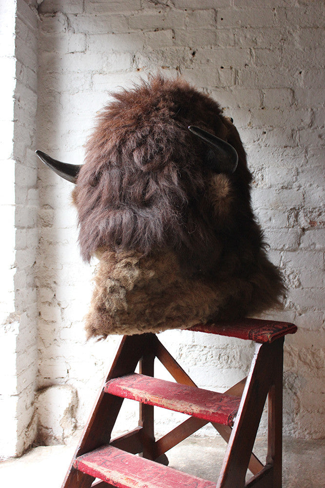 A Good Quality Mid 20thC Taxidermy Bison Head Mount