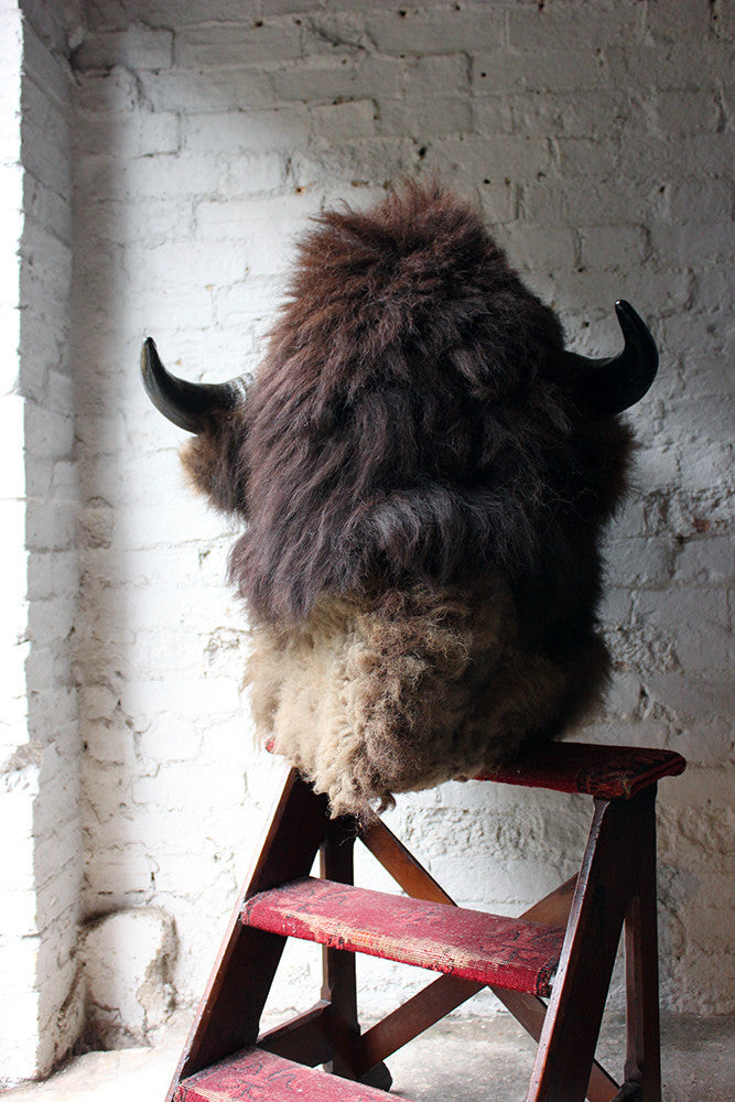 A Good Quality Mid 20thC Taxidermy Bison Head Mount