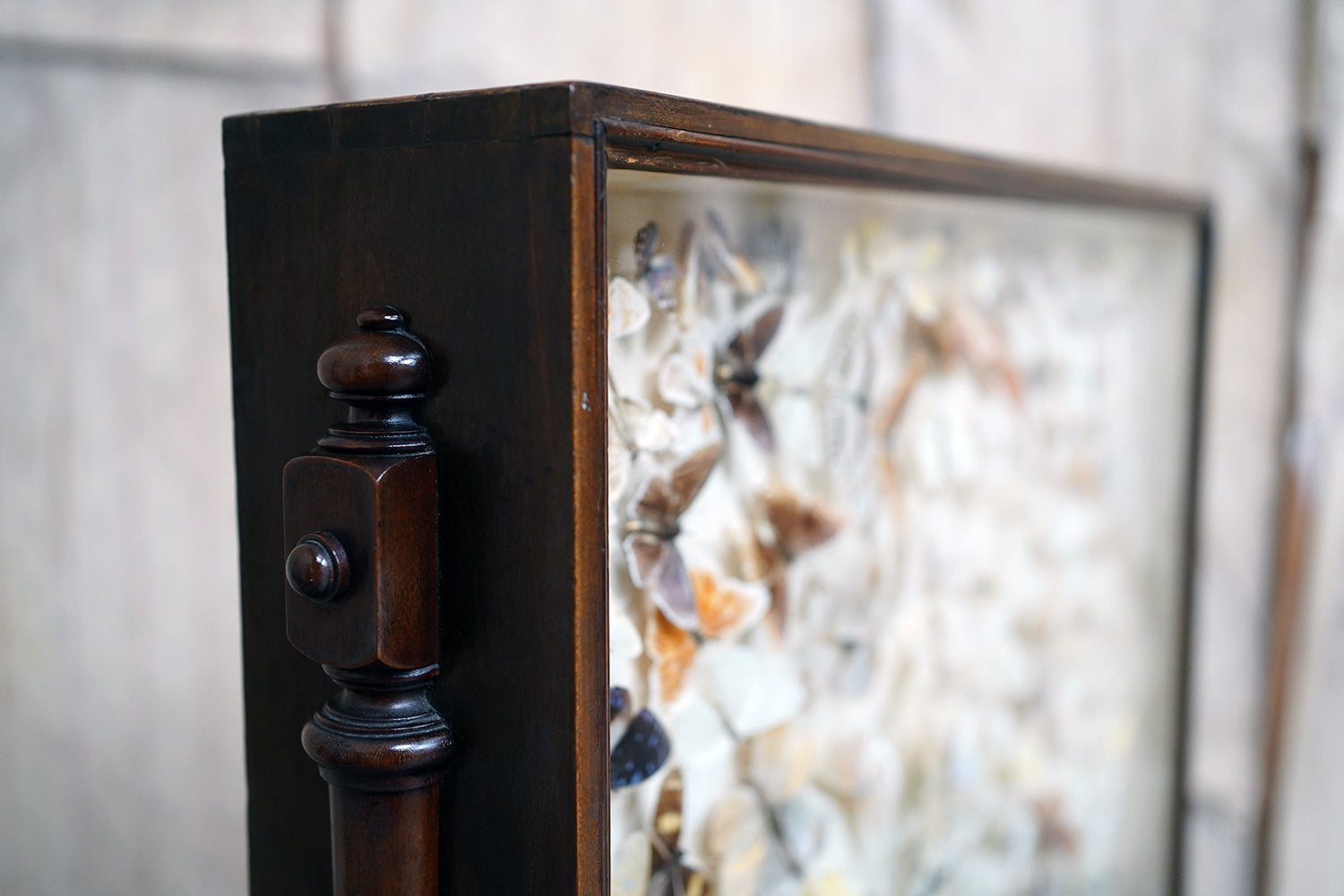 A Fine Victorian Taxidermy Butterfly-Mounted Cheval Fire Screen c.1880; Ex Pitt Rivers Museum