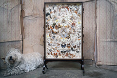 A Fine Victorian Taxidermy Butterfly-Mounted Cheval Fire Screen c.1880; Ex Pitt Rivers Museum