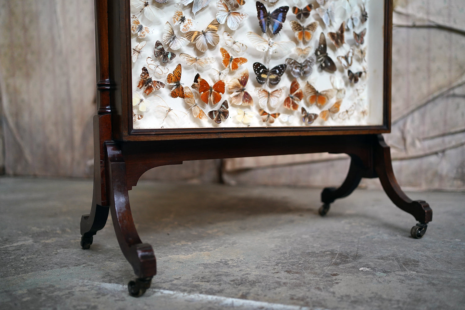 A Fine Victorian Taxidermy Butterfly-Mounted Cheval Fire Screen c.1880; Ex Pitt Rivers Museum