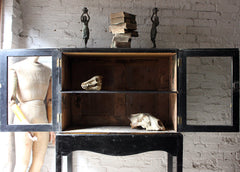 A Good Regency Period Black Japanned & Chinoiserie Decorated Display Cabinet on Stand