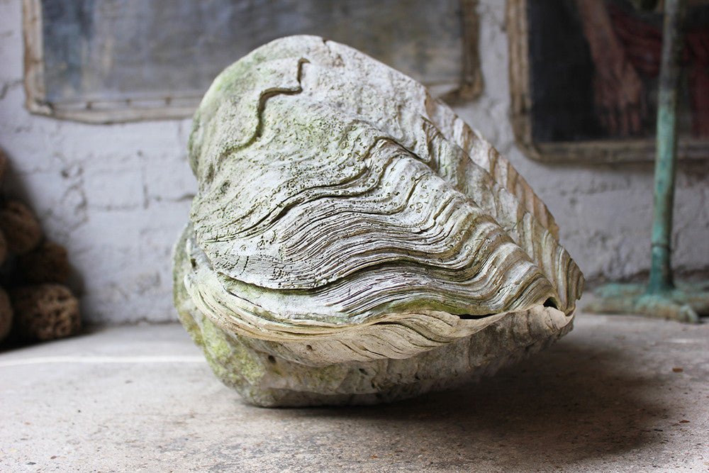 A Fine Pair of Early 20thC Giant Clam Shells