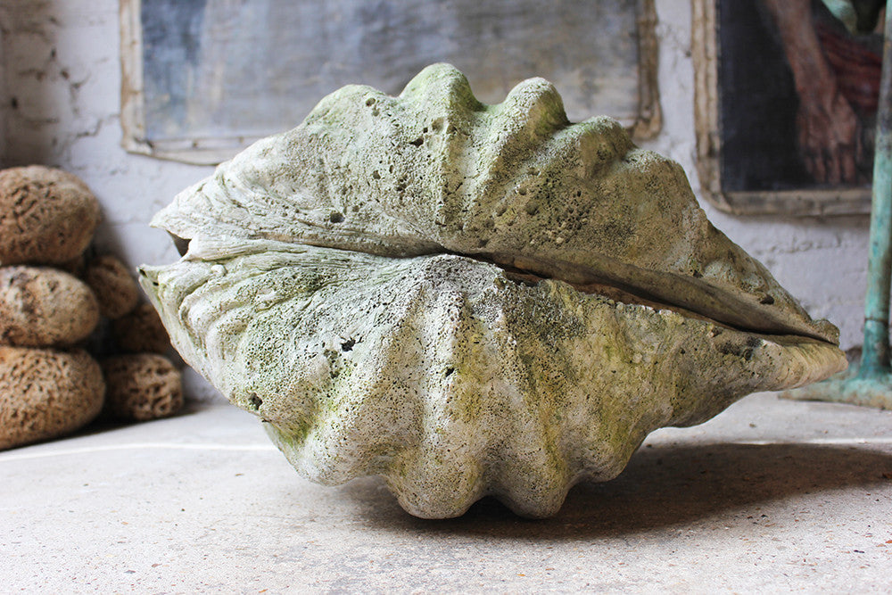 A Fine Pair of Early 20thC Giant Clam Shells