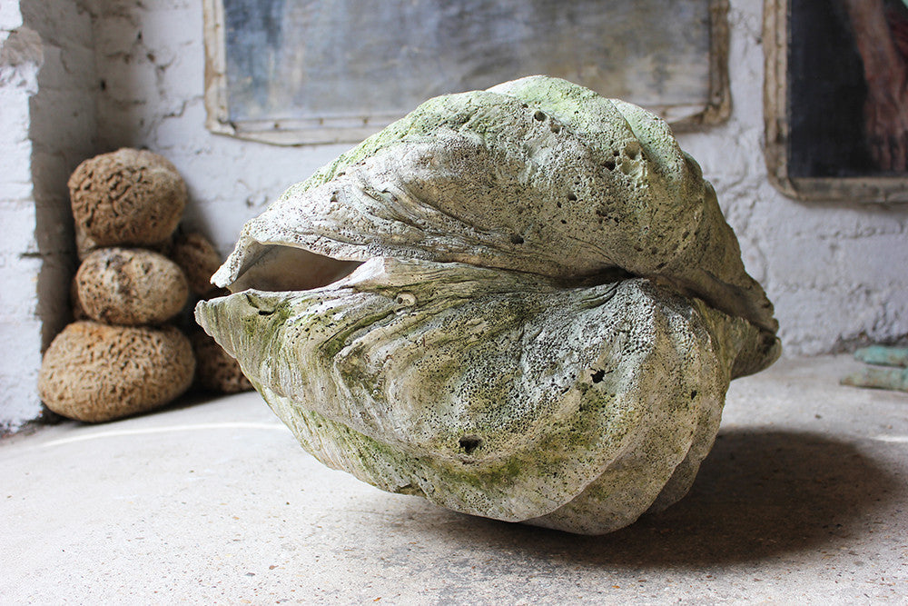 A Fine Pair of Early 20thC Giant Clam Shells