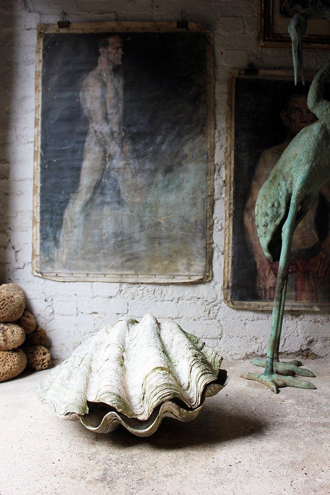 A Fine Pair of Early 20thC Giant Clam Shells