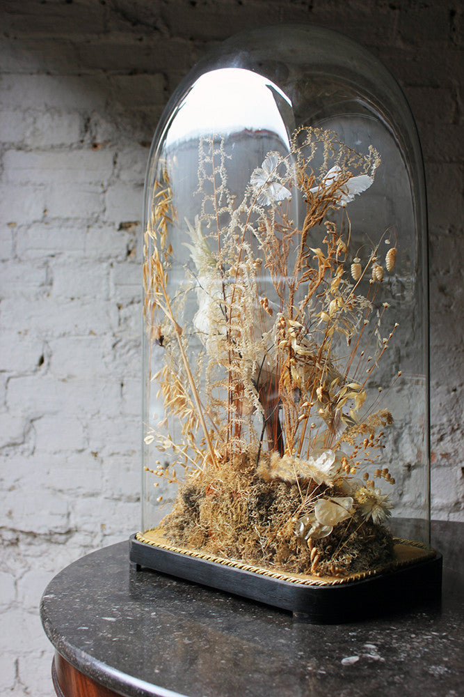 A Good Quality Victorian Dome Cased Taxidermy White Cockatoo c.1880