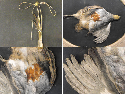 A 19thC Paper-Cut Trompe L'oeil Illusionist Still Life Study Of A Dead Partridge In a Glazed Oak Frame