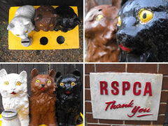 A Comical Mid 20thC Vintage RSPCA Charity Collection Box