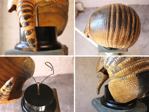 A Fine Early 20thC Natural History Taxidermy Specimen of an Armadillo Shell on Stand