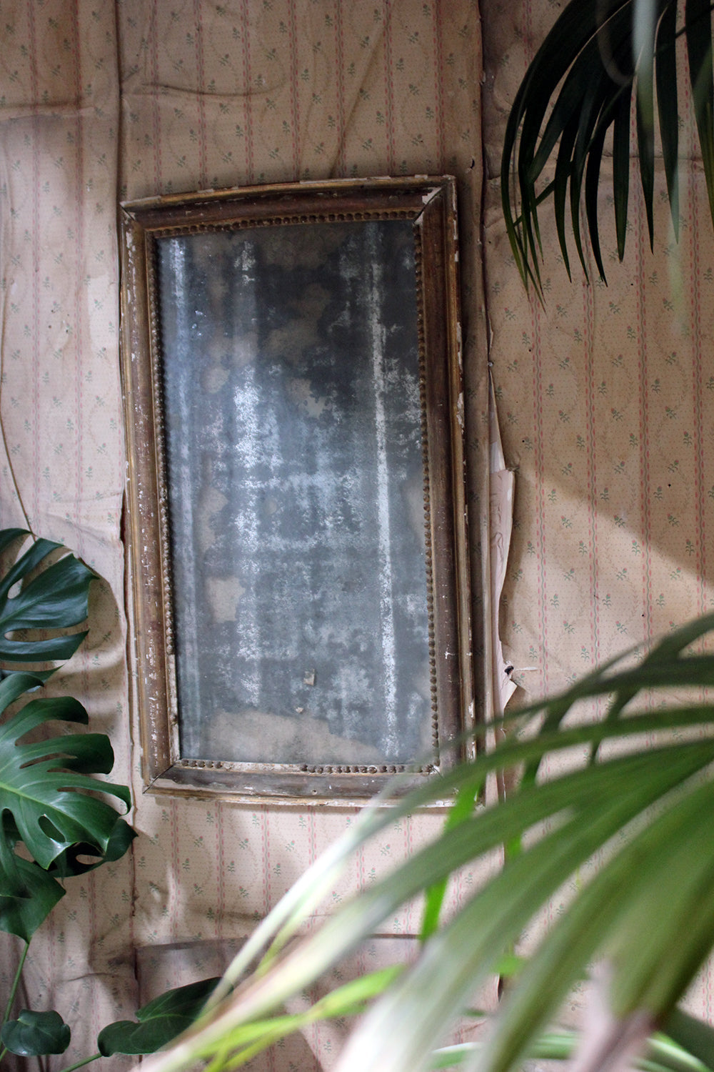 A Distressed George III Period Rectangular Gilded Gesso Wall Mirror c.1800