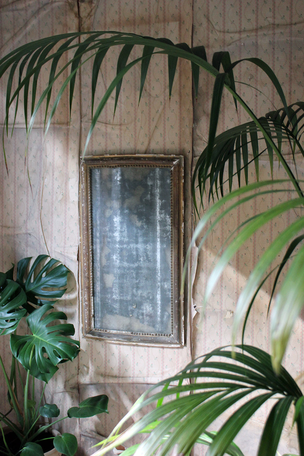 A Distressed George III Period Rectangular Gilded Gesso Wall Mirror c.1800