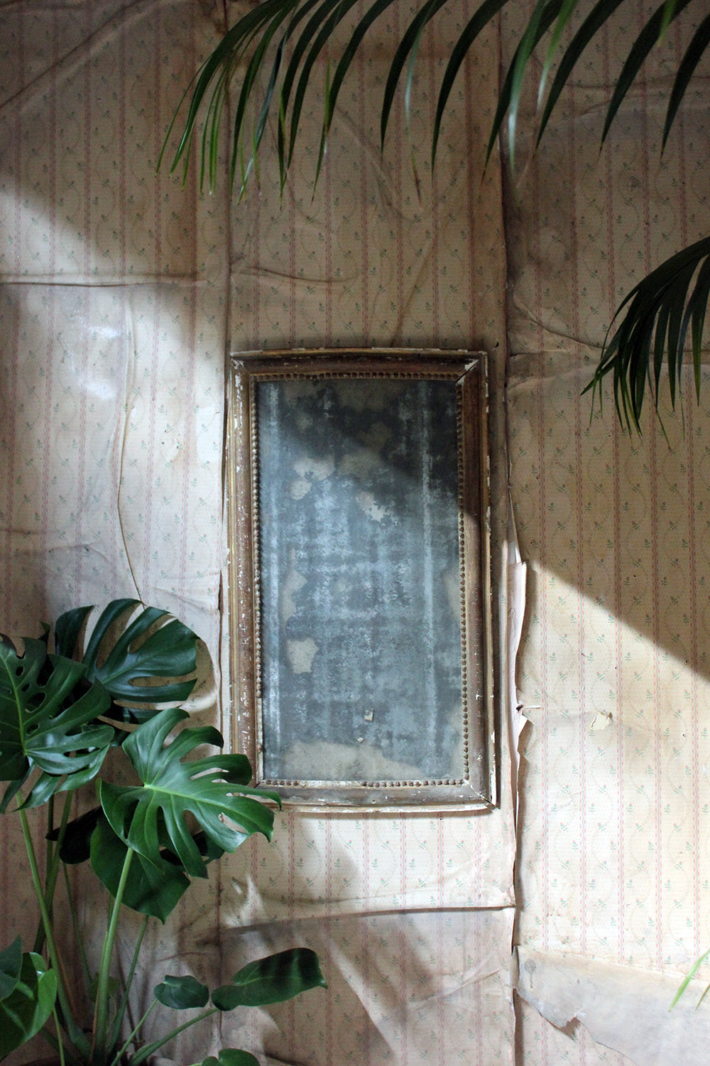 A Distressed George III Period Rectangular Gilded Gesso Wall Mirror c.1800