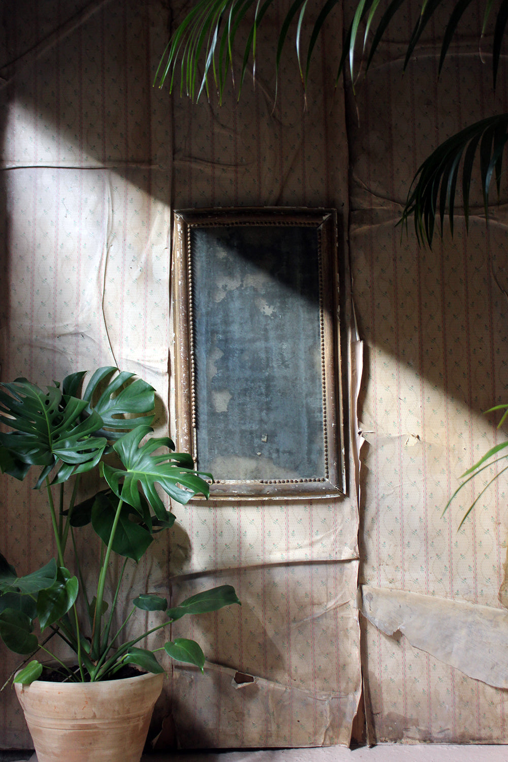 A Distressed George III Period Rectangular Gilded Gesso Wall Mirror c.1800