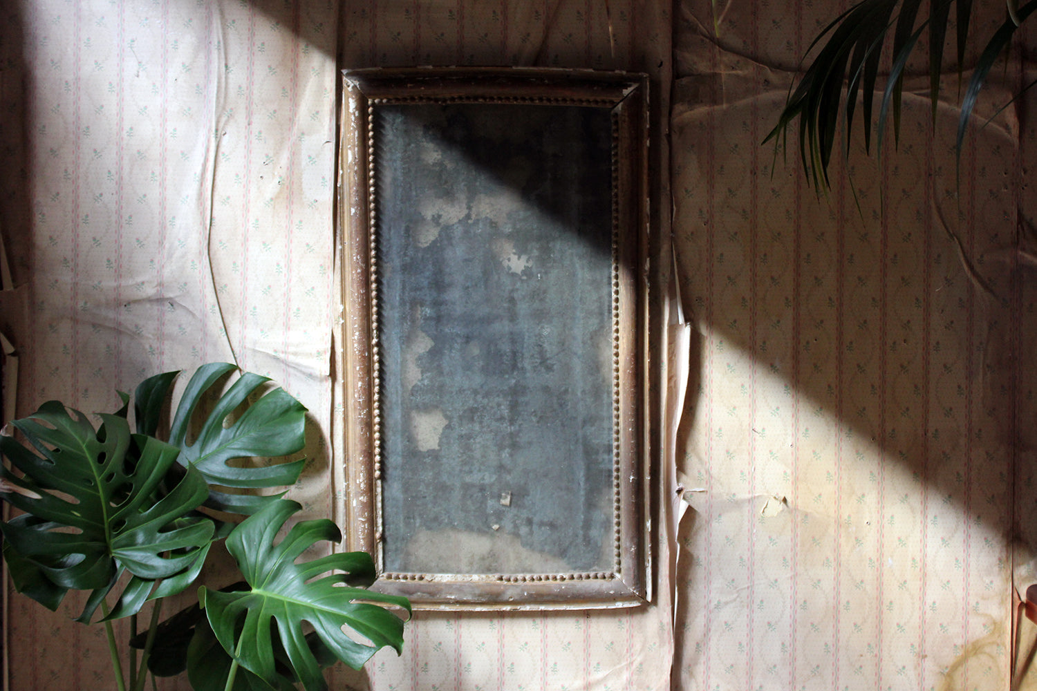A Distressed George III Period Rectangular Gilded Gesso Wall Mirror c.1800