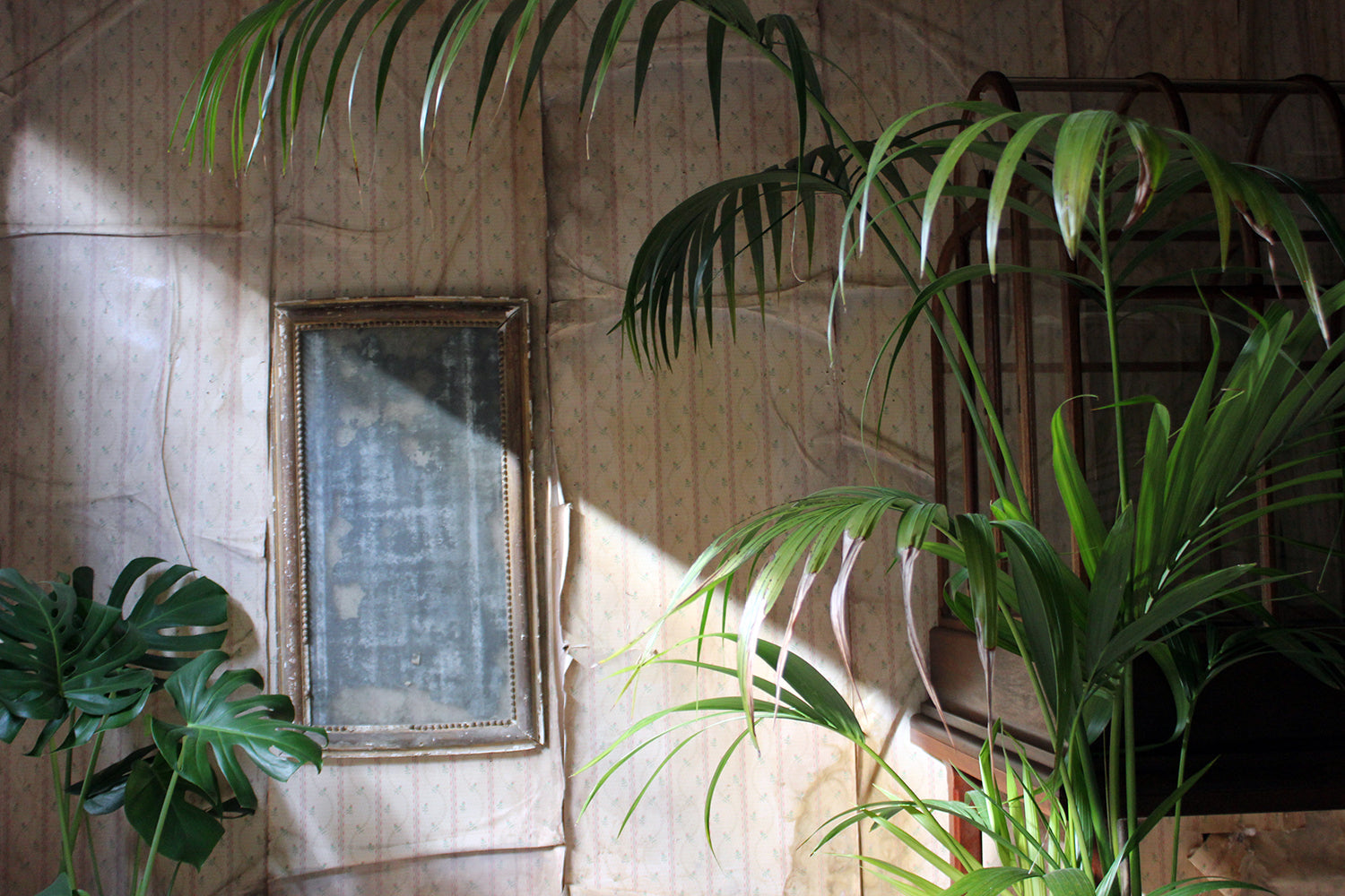 A Distressed George III Period Rectangular Gilded Gesso Wall Mirror c.1800