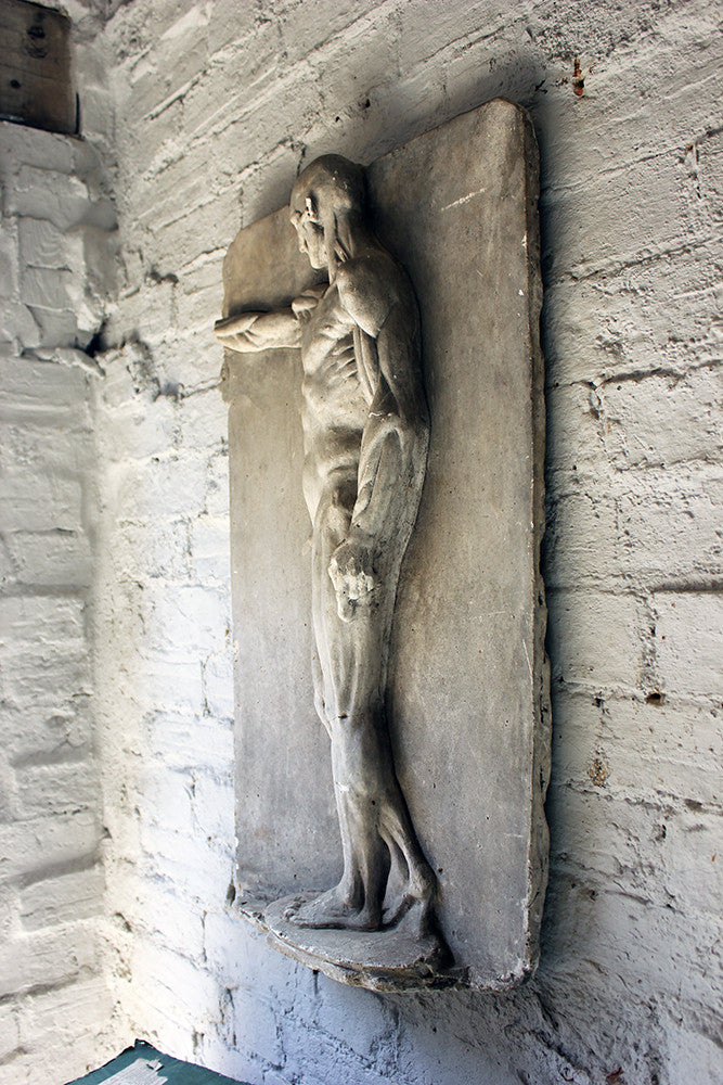 A Good Early 20thC Plaster Écorché Anatomical Figural Plaque of a Male