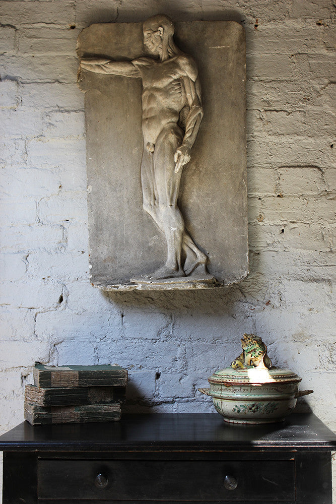 A Good Early 20thC Plaster Écorché Anatomical Figural Plaque of a Male