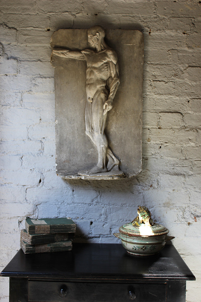 A Good Early 20thC Plaster Écorché Anatomical Figural Plaque of a Male