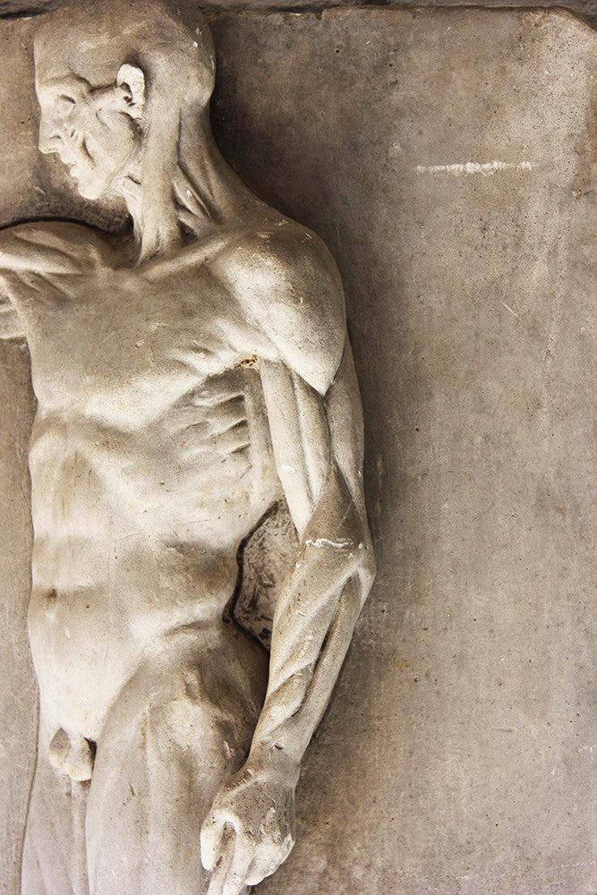A Good Early 20thC Plaster Écorché Anatomical Figural Plaque of a Male